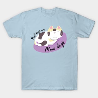 Best days are meow days T-Shirt